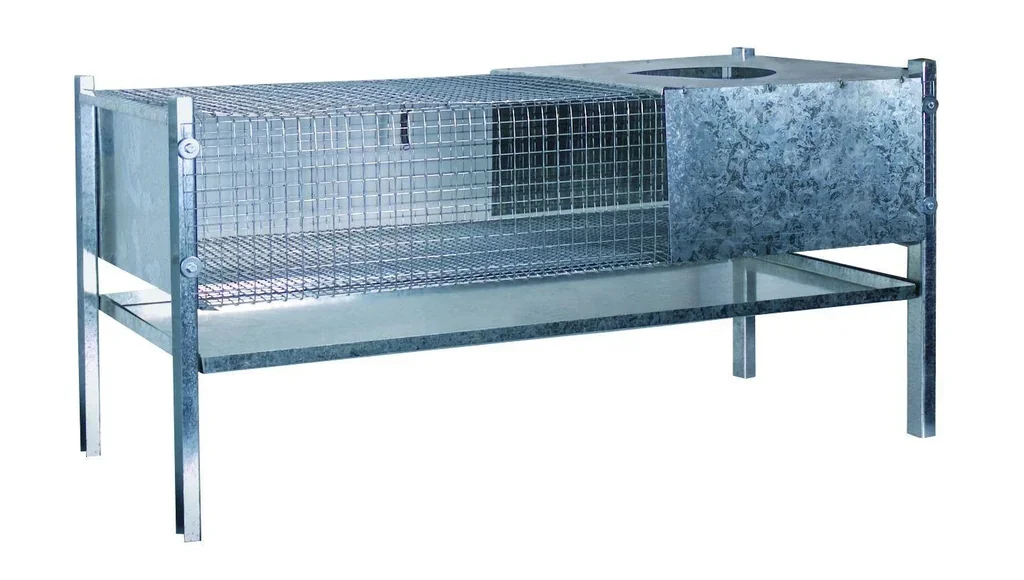 Rearing box for chicks and quails