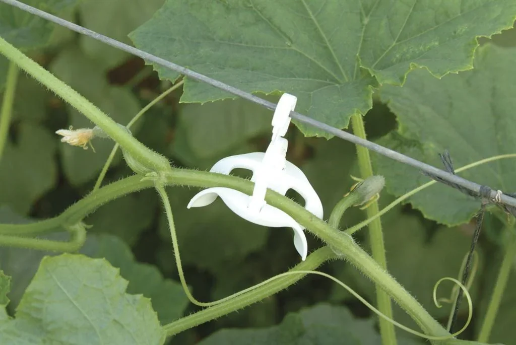Tomato trellis kit for plastic greenhouses