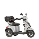 3-Rad E-Car Bologna 25 km/h silver