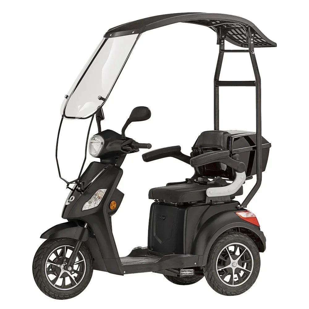 3-wheel electric vehicle Bologna 25 km/h black including wind and weather protection