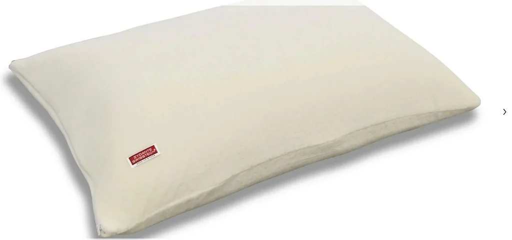 Sleep On the Pillow