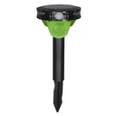 Solar bird repellent