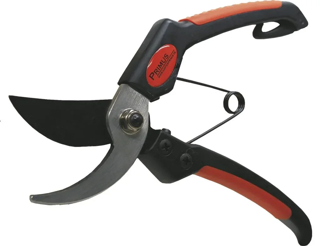 Men's scissors