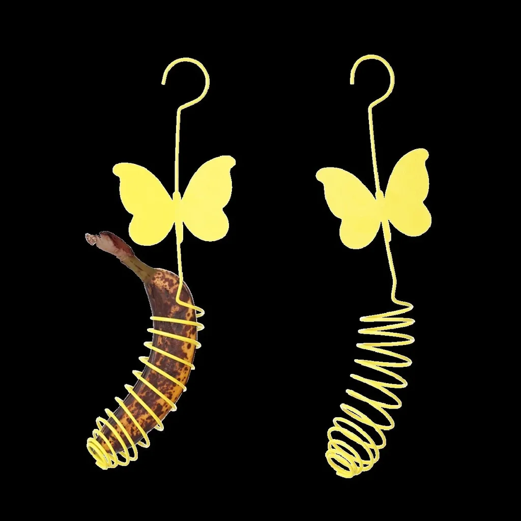 Feeder for butterflies