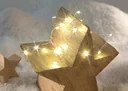 LED silver wire light chain with 20 warm white LEDs