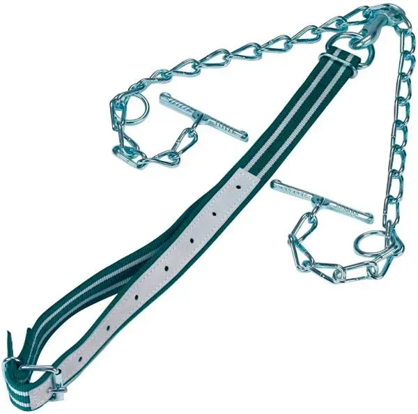 Cattle tether, complete with collar and chain