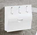 Wall-mounted clothesline