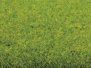 Grass mat spring meadow 200 x 100 cm