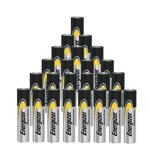 Industrial Micro (AAA) Alkaline Battery - 24 pieces