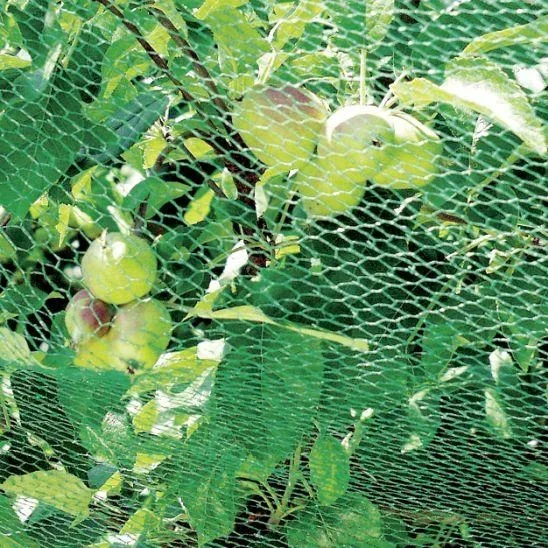 Bird protection net - 2 x 10 m