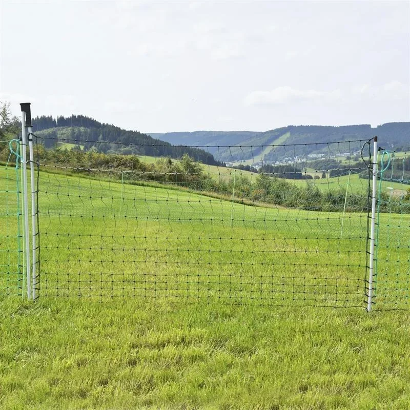 Jumbo goal 112 cm with double spike, 3 m
