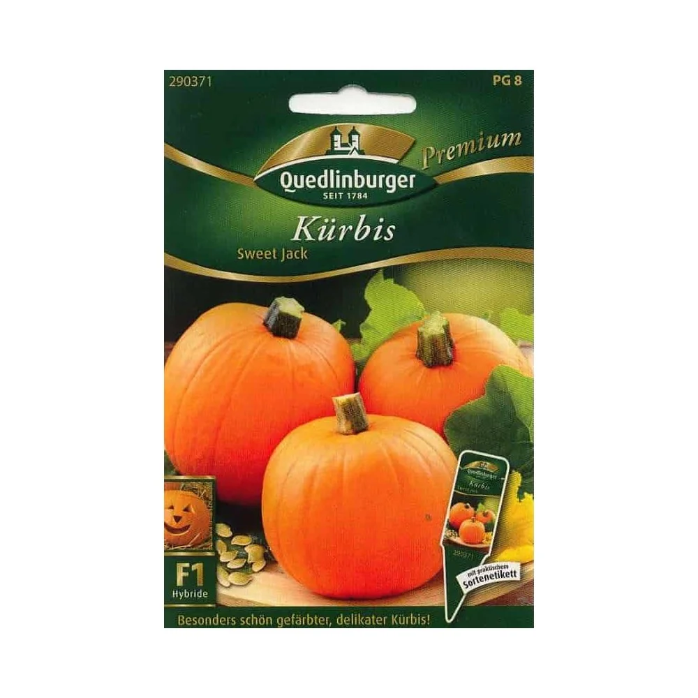 Sweet Jack F1 Pompoen Zaden: Eetbare Halloween Pompoen Kopen