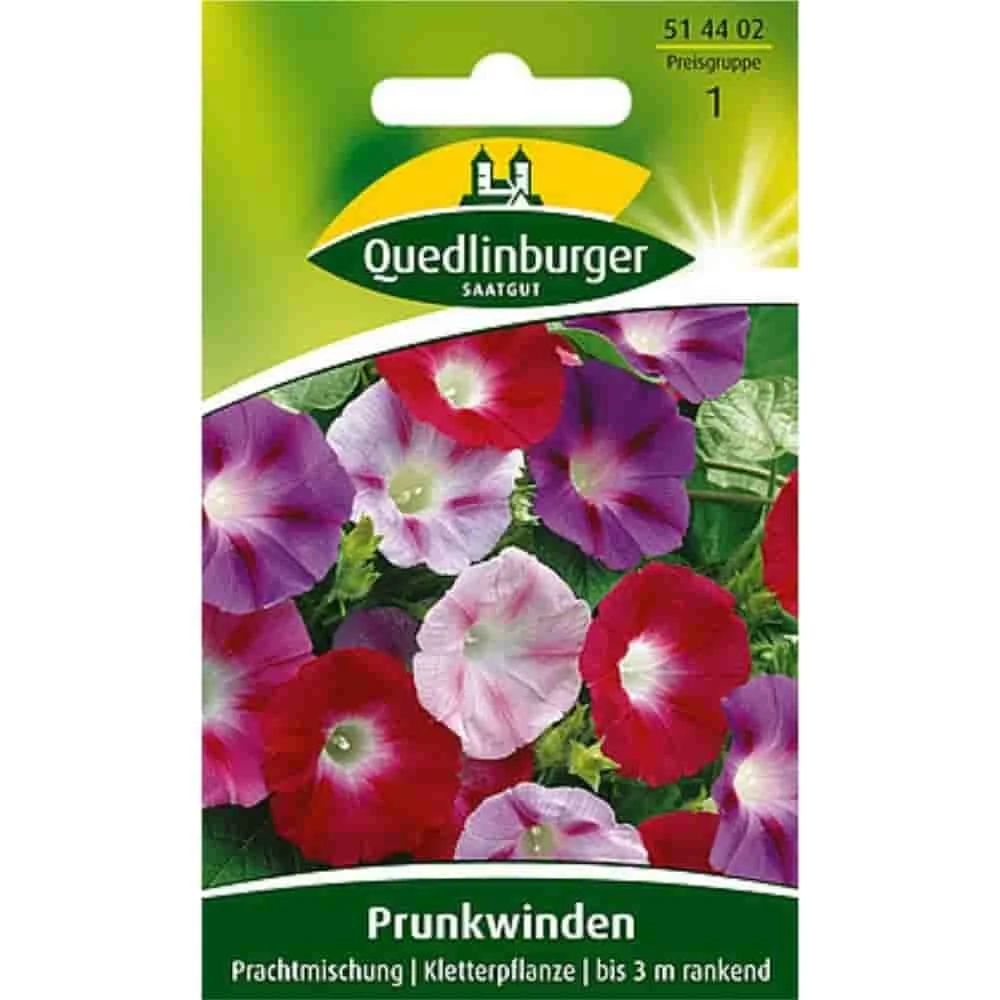 Prunkwinde zaden: Snelgroeiende Klimplant voor een Kleurrijke Tuin
