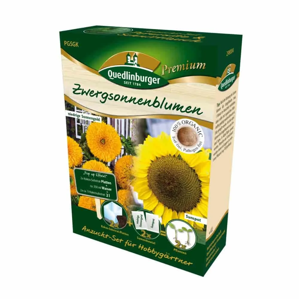 Zwergsonnenbloem Anzuchtset: Kweek je eigen mini-zonnebloemen!