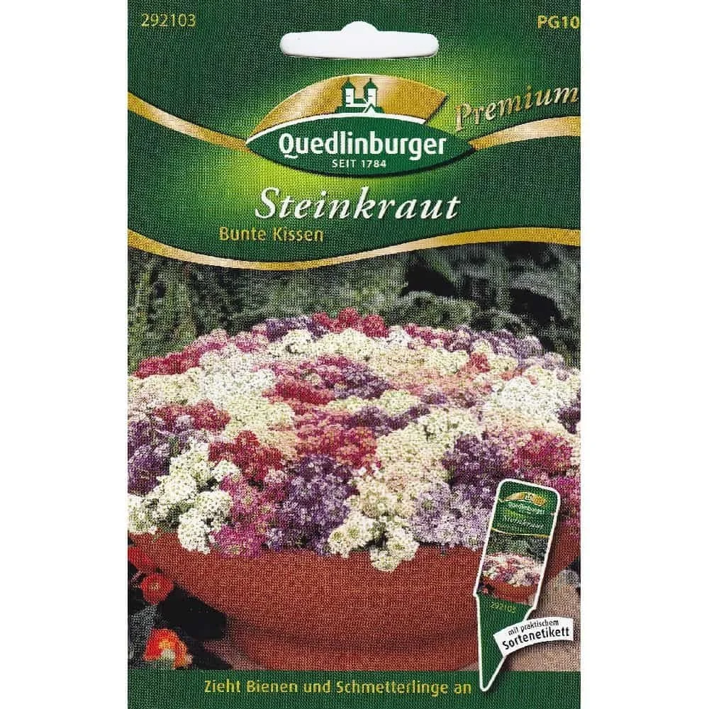 Steenkruid kopen, Geurend steenkruid, Zomerbloemen, Bijenplanten