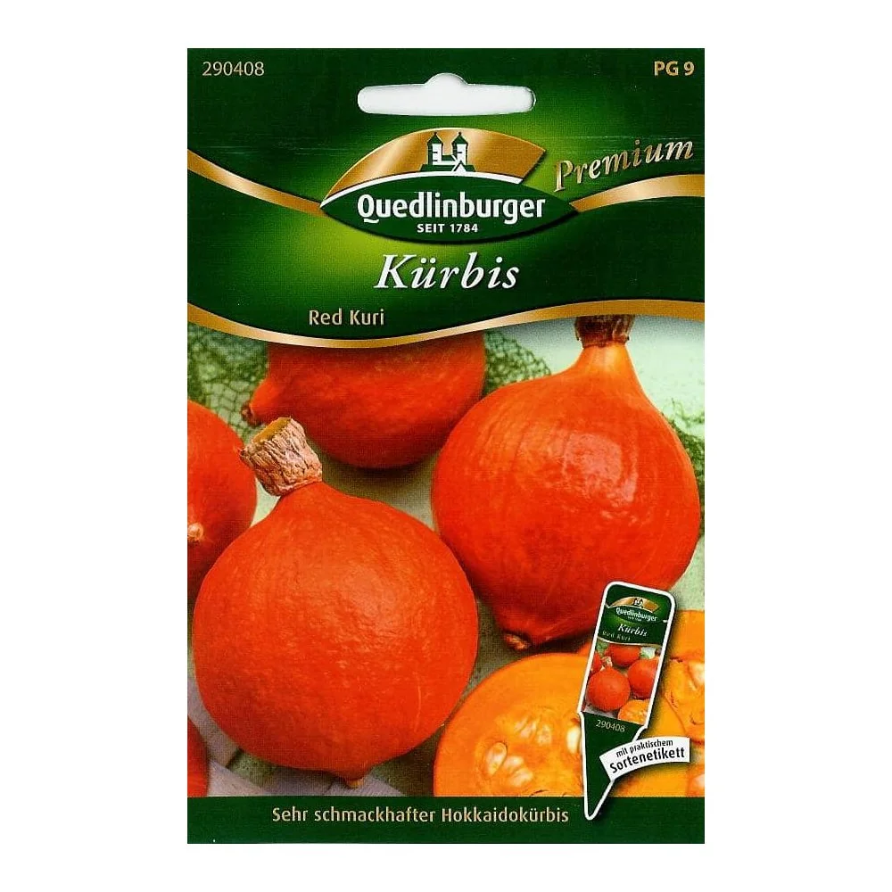 Red Kuri Pompoen Zaden - Hokkaido Pompoen kweken