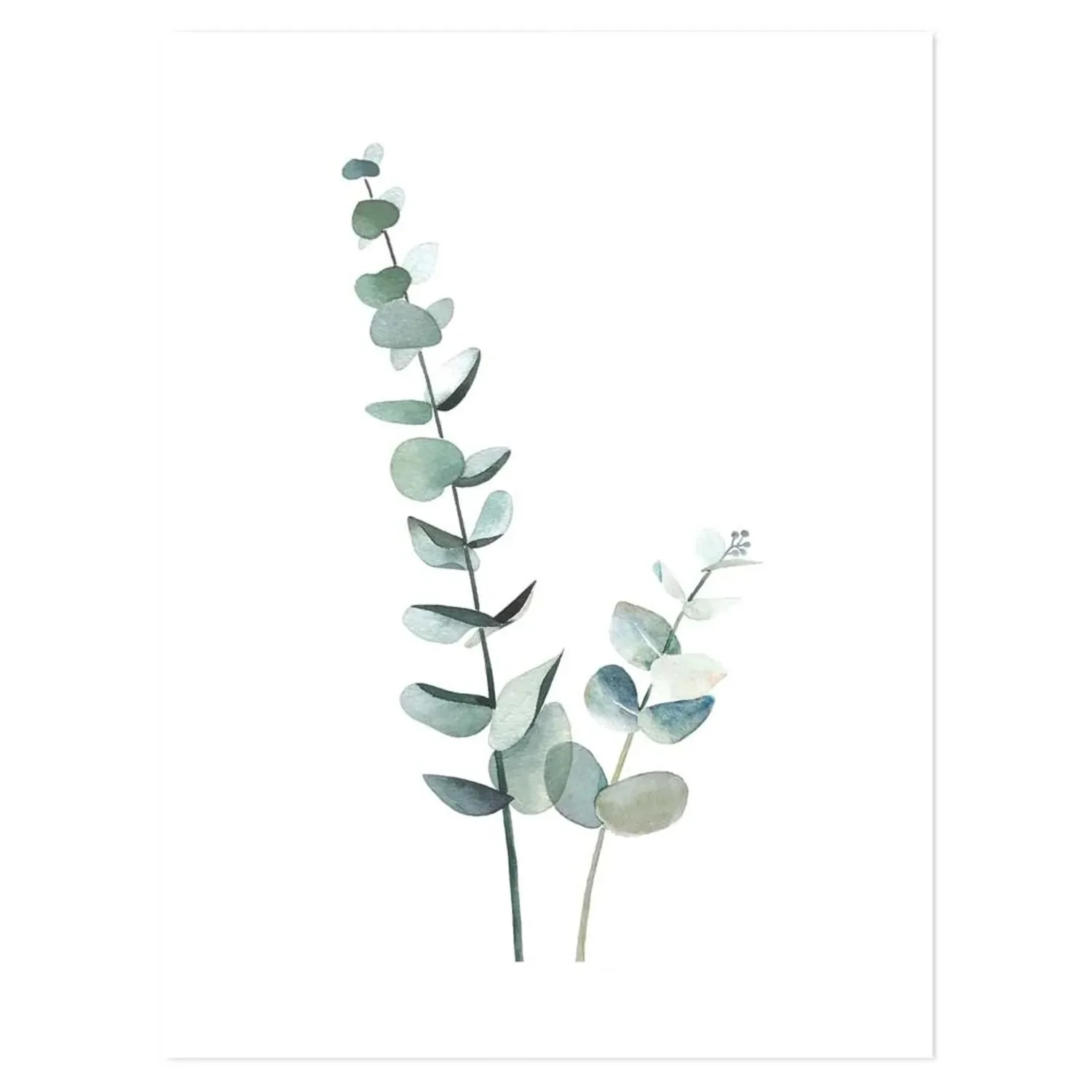 Lilipinso poster eucalyptus zachtgroen