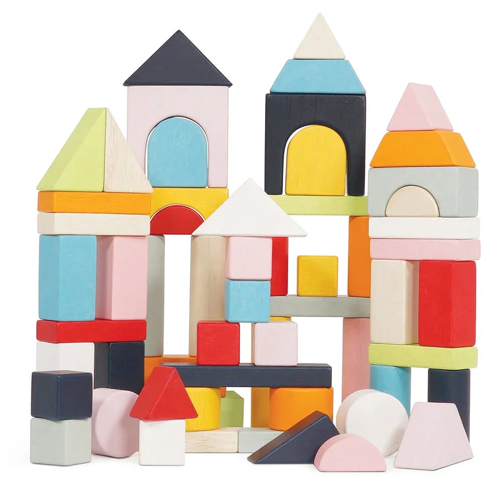 Le Toy Van 60 houten blokken pastelkleurig