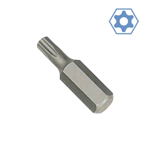 zeskant T45 Bit met gat, S2 staal -