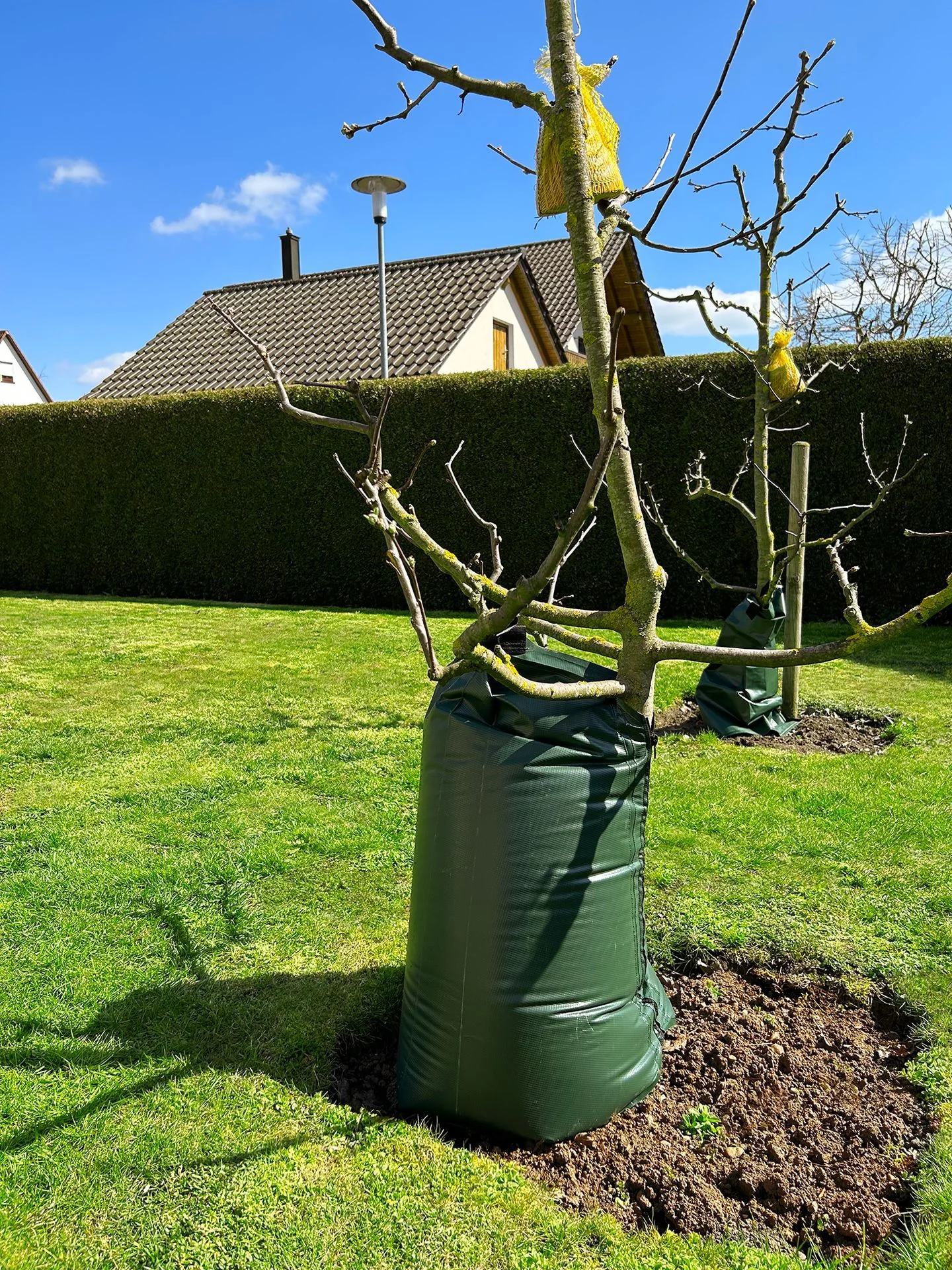 Boom bewateringszak - Waterzak voor Bomen 77 Liter