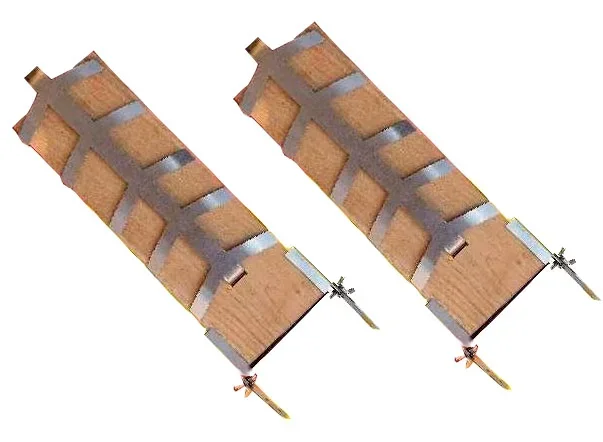 Set voor zalm op de vlam, 2 stuks