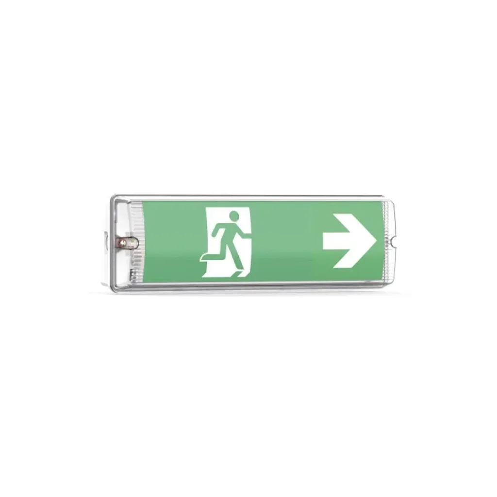 LED escape route light, emergency exit with emergency power unit offers a TEST function, wall mounting & IP65 protection