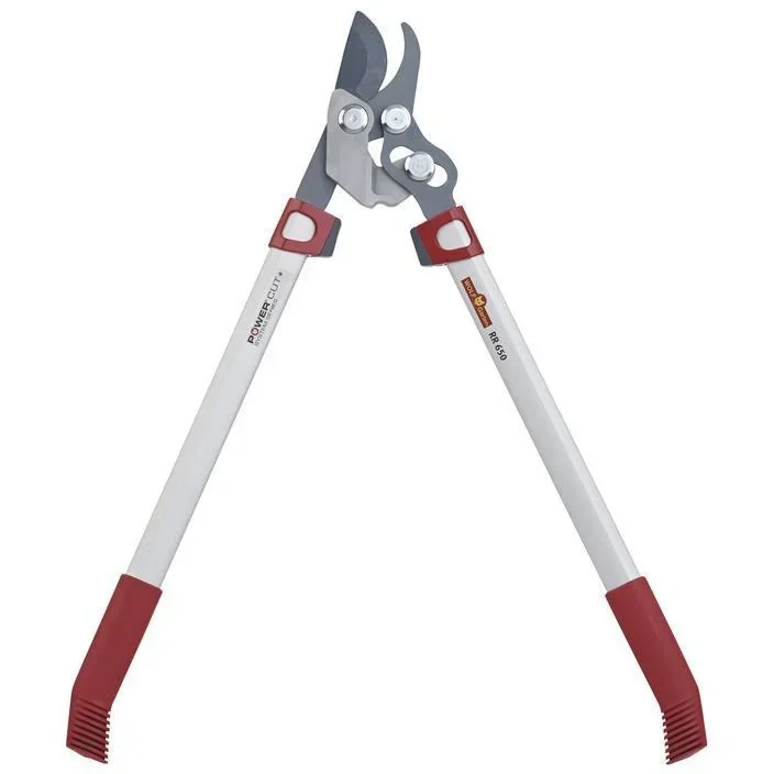 PowerCut RR650 pruning shears