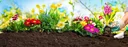 Flat hose, 15 m