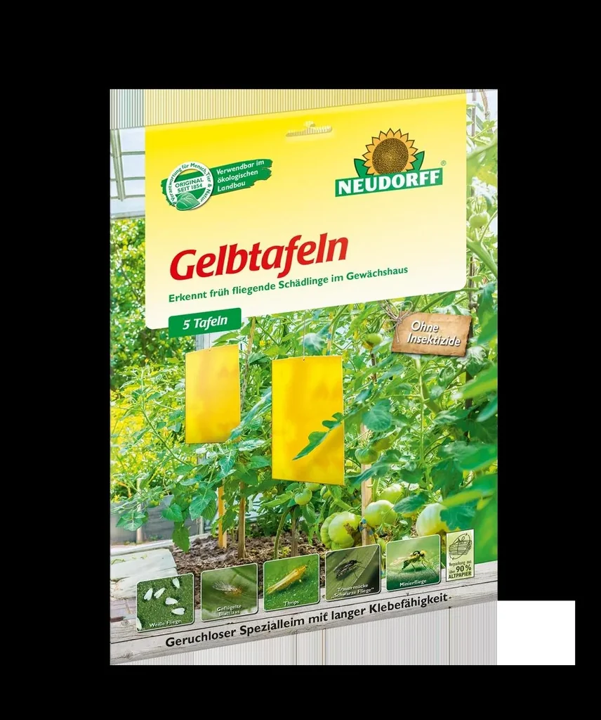Yellow boards large, pack of 5