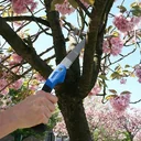 Folding handsaw