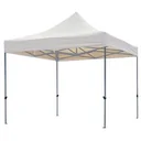 PROFESSIONAL GARDEN PAVILION - WHITE - 3 x 3 m