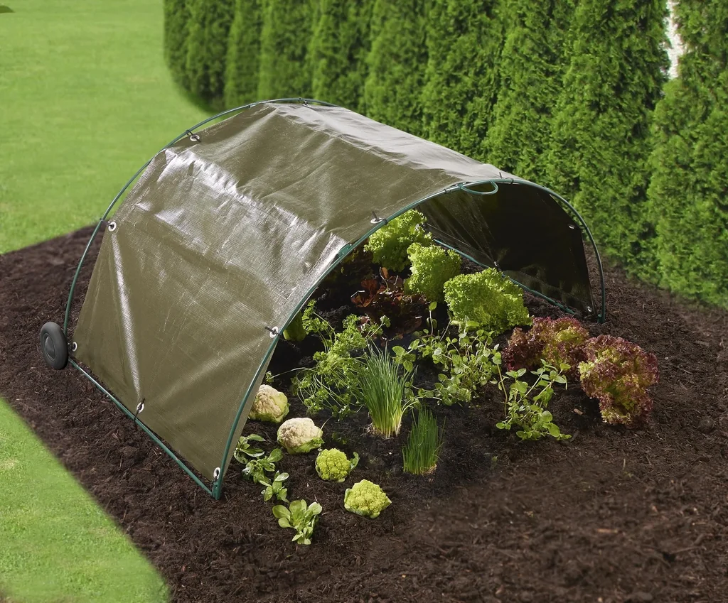 Cold frame + chicken tunnel starter set