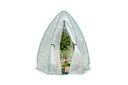 Polytunnel Olive