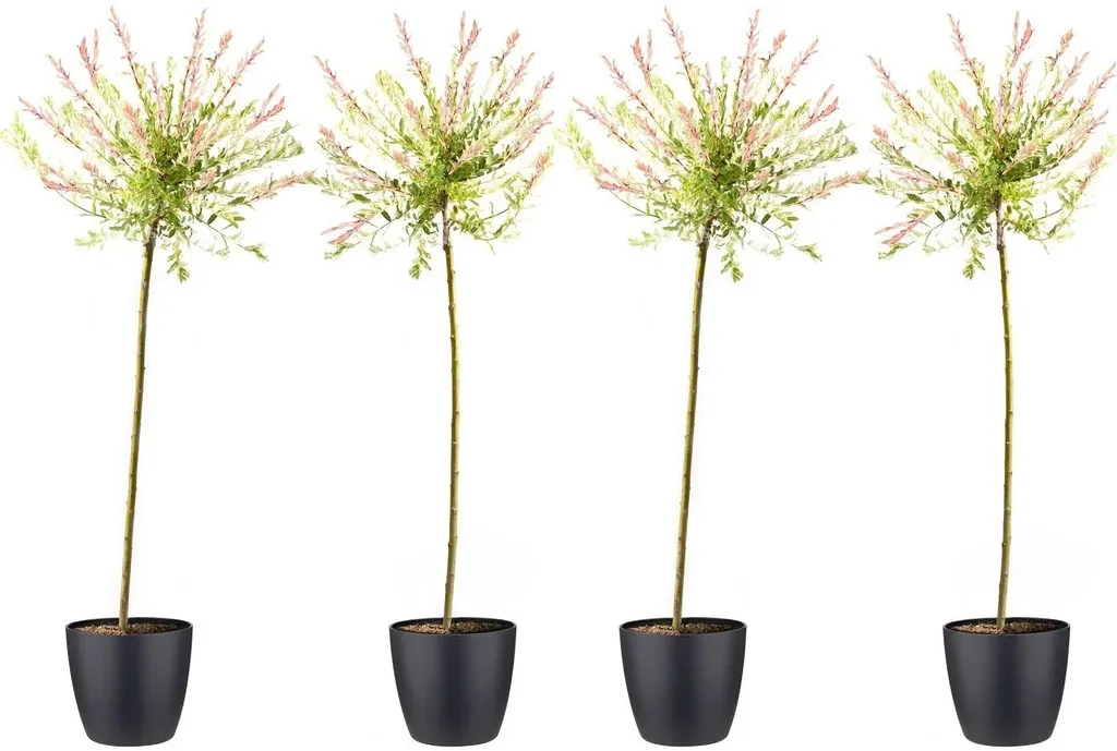 Flower-up set of 4 XXL Rattenweiden 120 - 140 cm