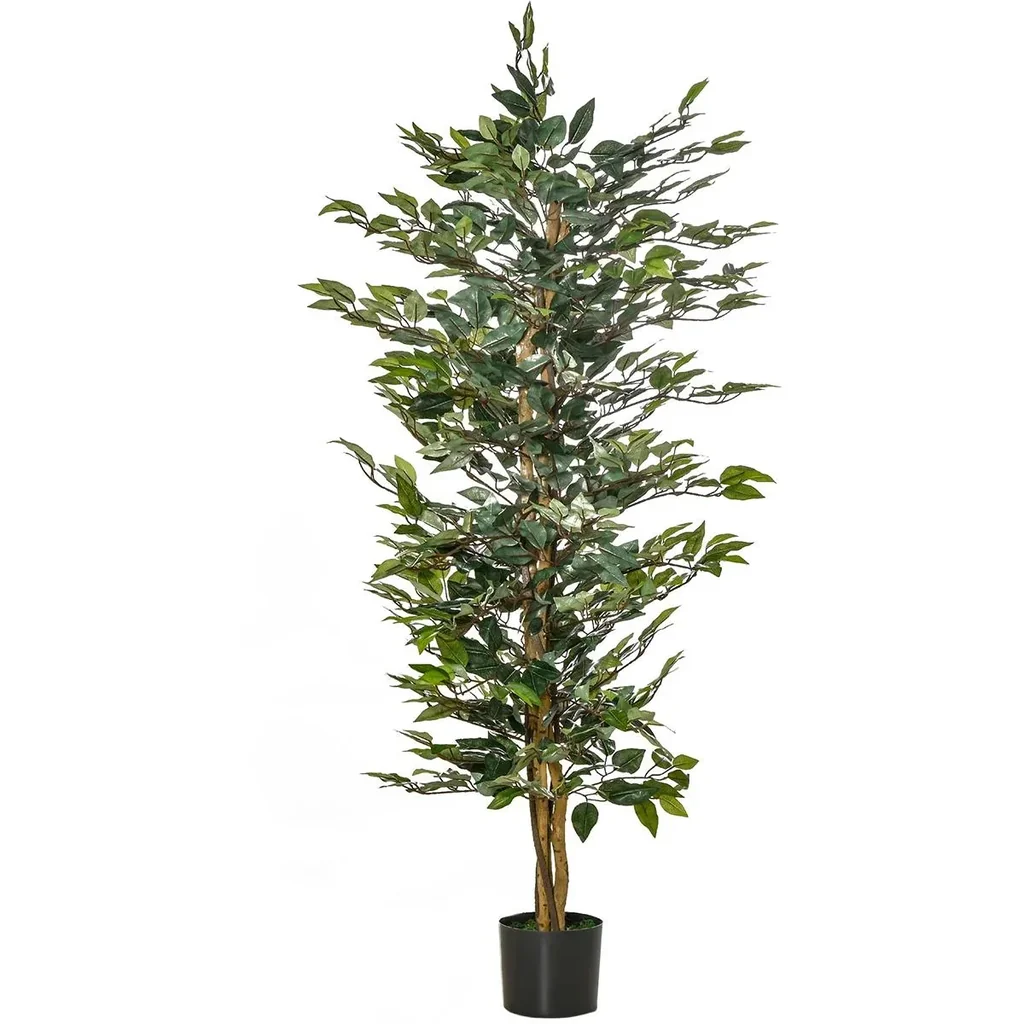 Cherry laurel, Prunus laurocerasus "Caucasica," for a 5-meter hedge, 60-80 cm tall, 7-liter pot, 10 plants per set