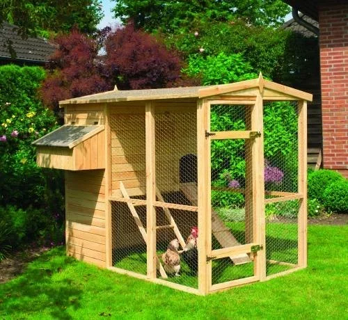 small chicken coop