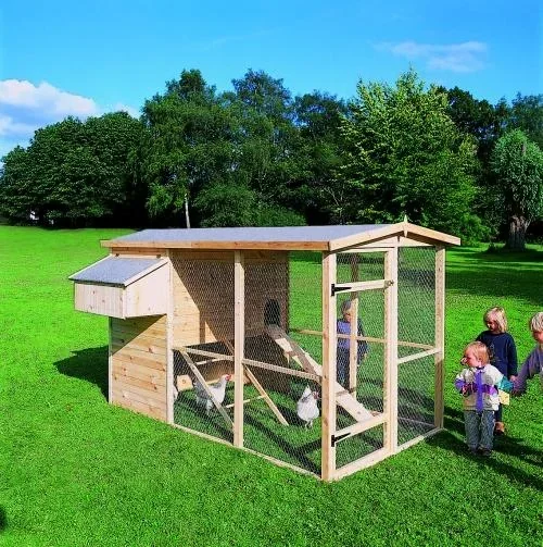 Large chicken coop