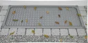 Light well cover 60 x 115 cm, with aluminum mesh