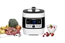 Steam pressure & multicooker MD 1000