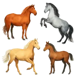 Paarden afbeelding
