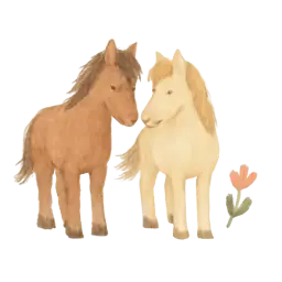 Abracazoo Paarden afbeelding