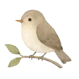 Vogeltje afbeelding