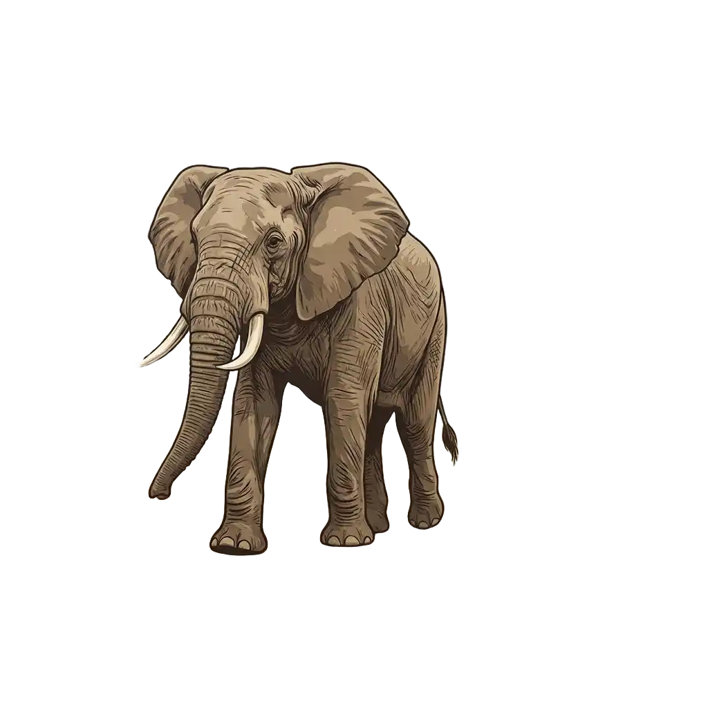 Tanzania afbeelding