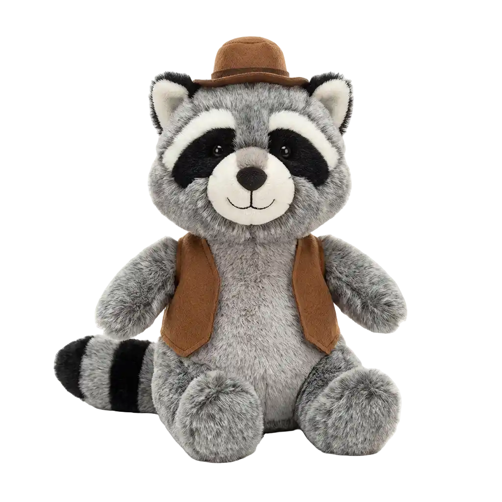 Mr. Racoon / Wasbeer afbeelding