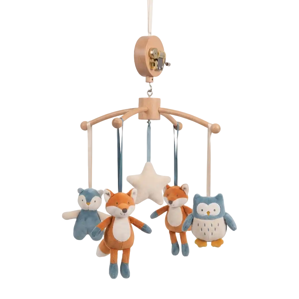 Moulin Roty Speeldozen afbeelding
