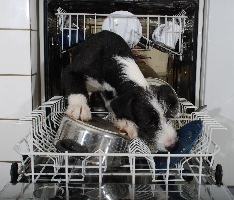 Vaatwasser afbeelding