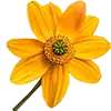 Bloemen + Plantenmest afbeelding