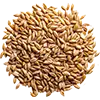 Graszaad afbeelding