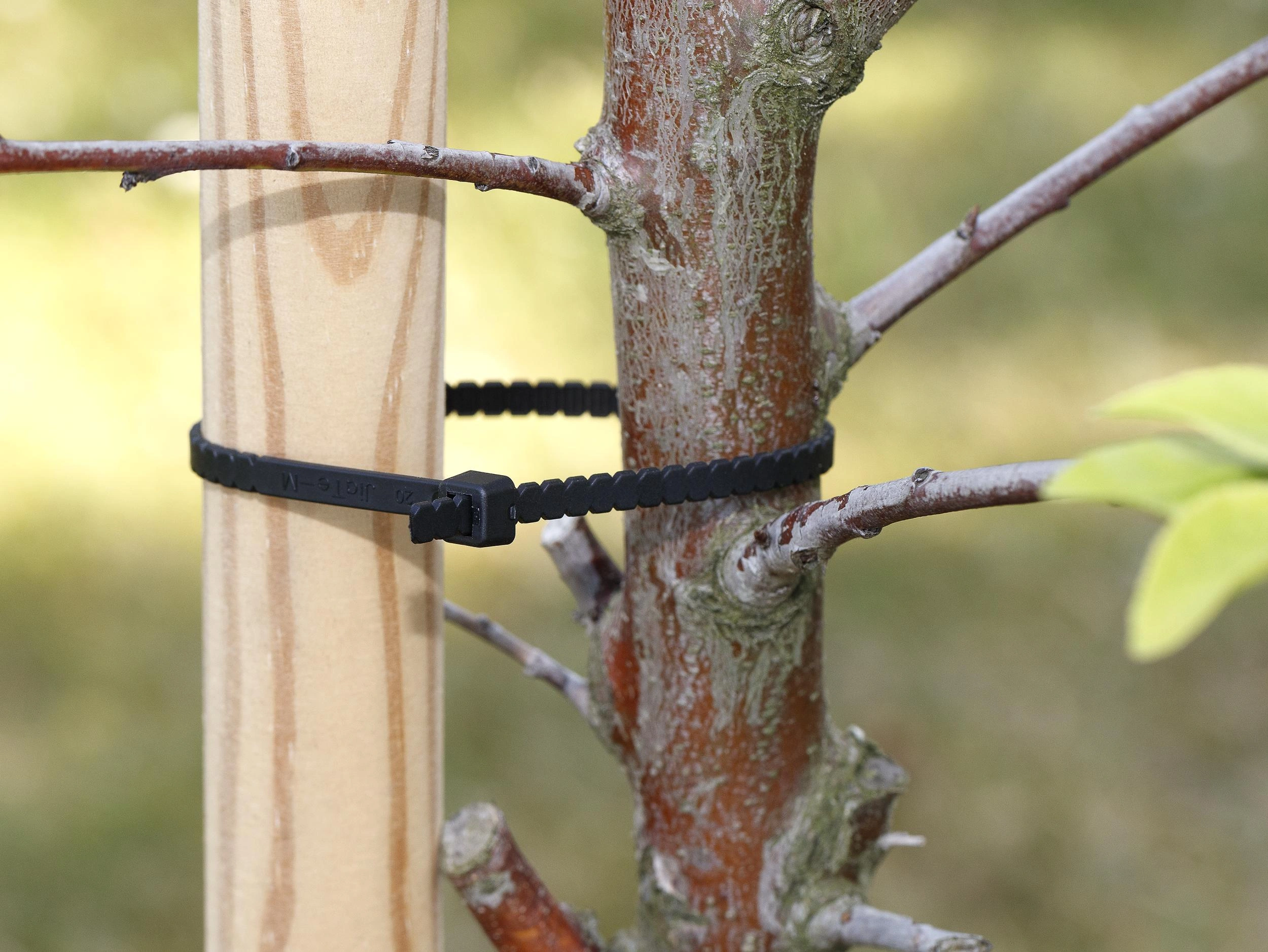 Wire End Ferrules, Cable Ties afbeelding