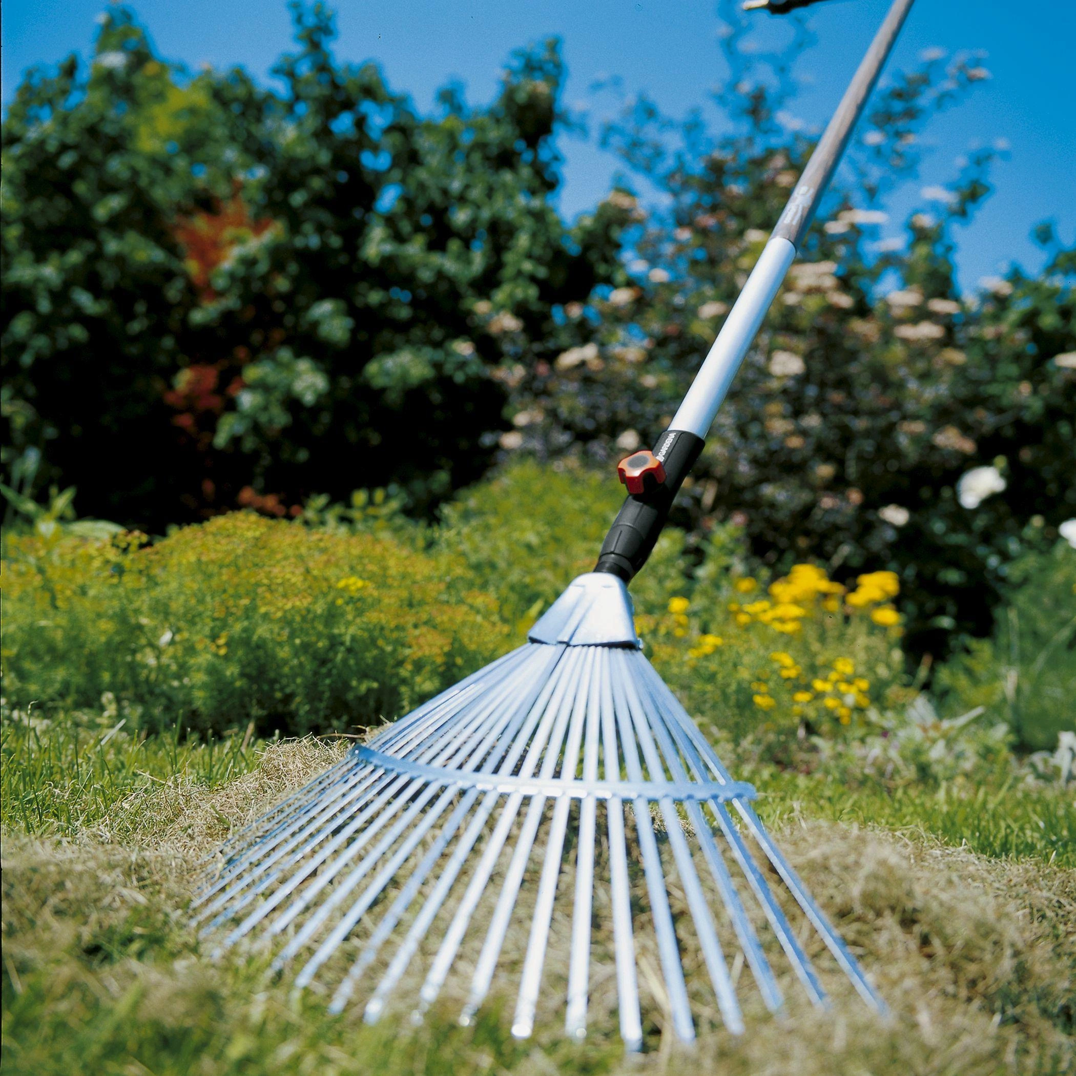 Fan Broom afbeelding